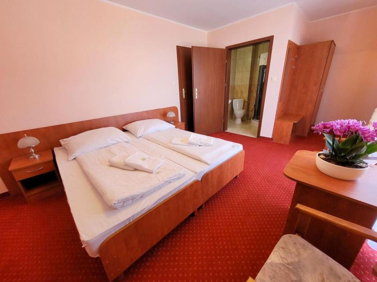 Pensjonat Spa U Tomasza Нехоже Экстерьер фото