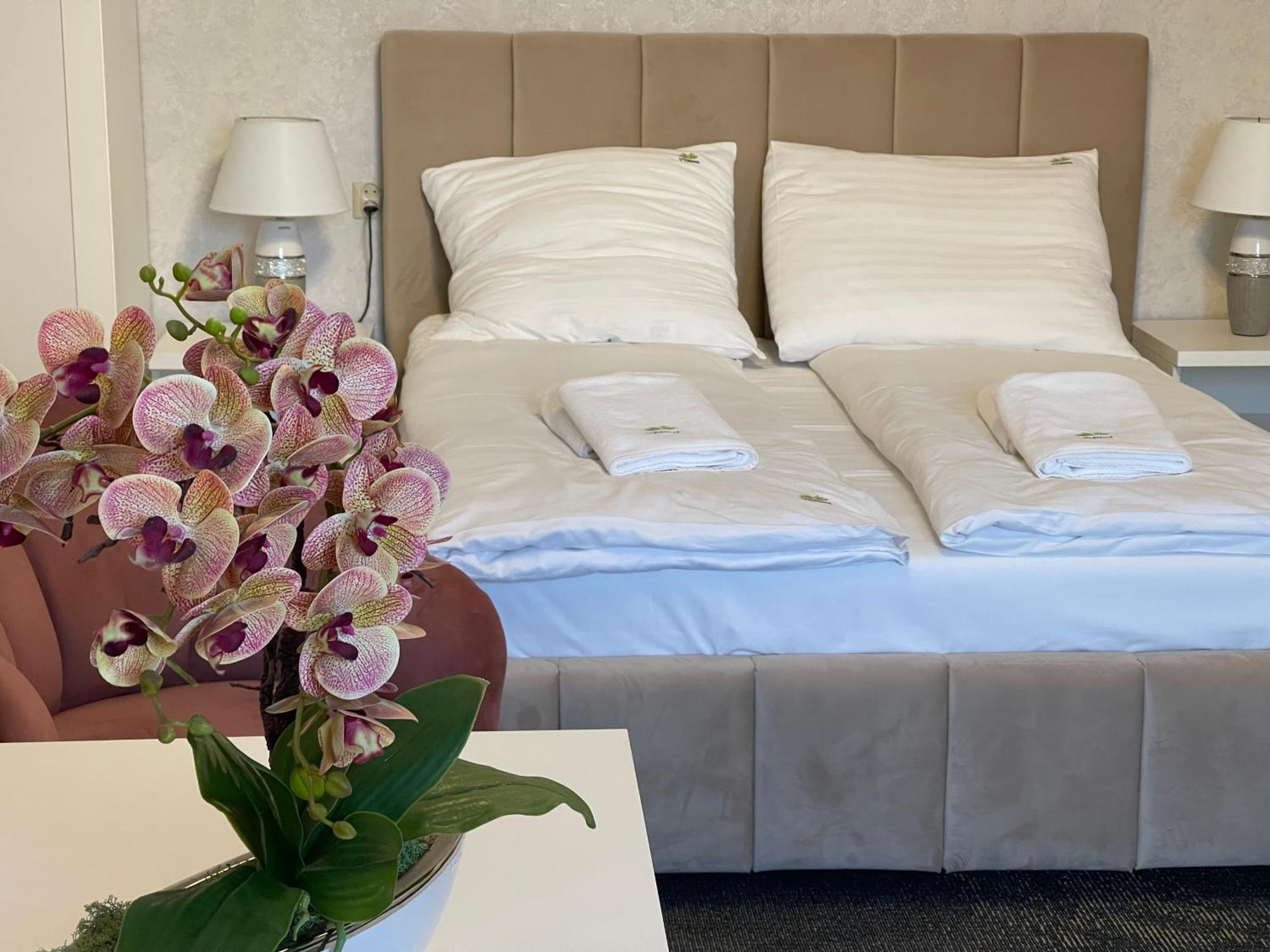Pensjonat Spa U Tomasza Нехоже Экстерьер фото